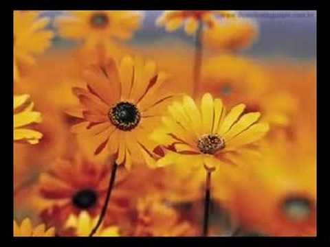 Aline Barros - Jesus Cristo Mudou meu Viver