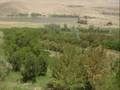 Wardak