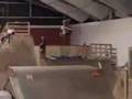 cool stunts gone down the river!!!!!!!!!!!