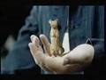  - MovieZen Video