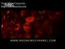 agnes monica-jera