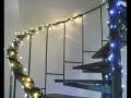 videos de eco-Logisch kerstverlichting