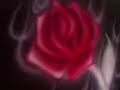 airbrushing on black shirt pt2