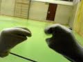 Die enthaltsame Socke 2 Die enthaltsame Socke 2