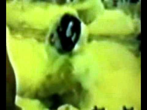 Imagen de previsualización de YouTube