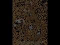 Furry Vid - Relax