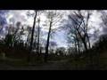 Reading Eagle: Spring