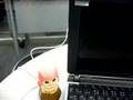 USB Owl Gadget PC Pet!USBフクロウ