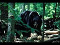 Appalachian Trail Hike