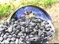 grillade au barbecue a l\ grillade au barbecue a l\