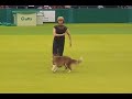 Ginnie performing at Crufts 2007