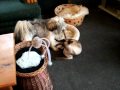 Coco and Edmond playing