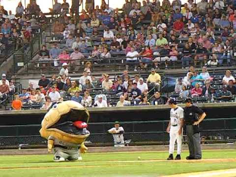 Charleston riverdogs - During an intermission at the Charleston Riverdogs' game on May 1, 2010, guess mascot Roger Clamens took it upon himself to eat the RiverDogs' batboy.