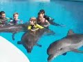 delphin therapy austic child thomas and melanie delphin therapy austic child thomas and melanie
