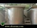 videos de Recolección de la aceituna en Vadolivo