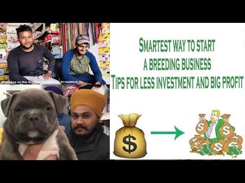 Dogs Breeding Business – Low investment High Profit. BholaShola