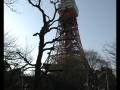 videos de Japan - Near Tokyo Tower