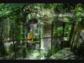 XILITLA Y JARDIN SUBREALISTA EDWARD JAMES