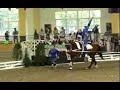 Vaulting on horses