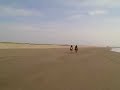 Cantering on the beach, Long Beach, WA