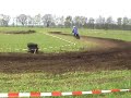 Brommercross Holterhoek 2008 (1)