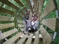 GoApe at Leeds Castle