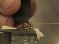 videos de 2g Motor wickeln.