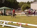 clubmatch Grote Zwitsers 2
