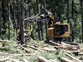 Tigercat  with 624 super harvesting head
