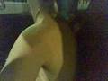 incidente barona moggese