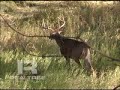 Road Trips Season 5 Preview of Montana Road Trips Season 5 Preview of Montana