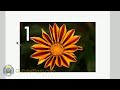 Adobe flash cs4 website tutorial: 0107 Drop down menu