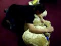 Abuso De Animales