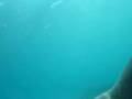 Now this is a close encounter