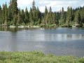 Moose swimming at Dollar Lake in the High Uintas of Utah