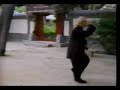 Wu Tunan - taijiquan