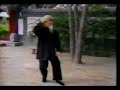 Wu Tunan - taijiquan Wu Tunan - taijiquan