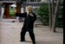 Wu Tunan - taijiquan
