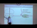 Sensory Systems