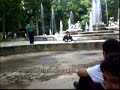 El Baile de los Panecillos!!! Cristal Chaplin! El Baile de los Panecillos!!! Cristal Chaplin!