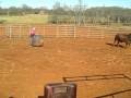 Torture Tuesday - Kato the Rodeo Clown