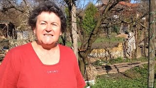 Jutka mama biokertje márciusban