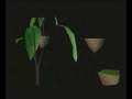 videos de Nebula demo