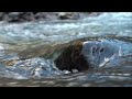 water.mov water.mov