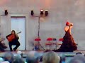 Flamenco en el Central Park, New York City