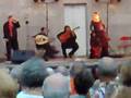 Flamenco en el Central Park, New York City