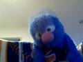 The Heat Is On By Glenn Frey (Sung By A Sunburned Sock)