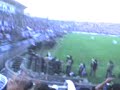 rosales grones 3