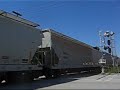 Railfanning Around Brampton Downtown