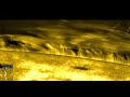 Alfven wave in the corona taken by HINODE